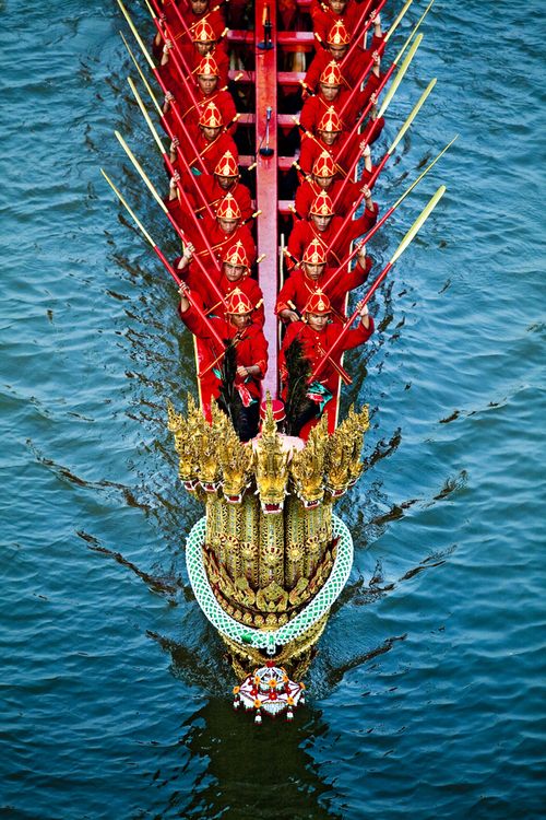 15710200319650.jpg 6d1dabc80c04f6f2f345cbdfad09db18f8bc2bce81290-jq1vJY_fw658.jpg