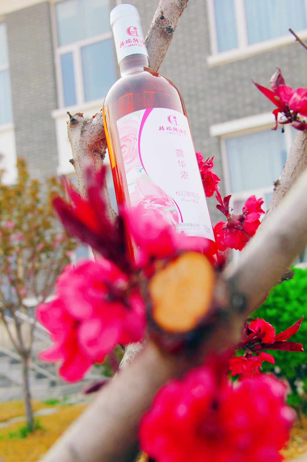 16219339632714.jpg 6_副本.jpg