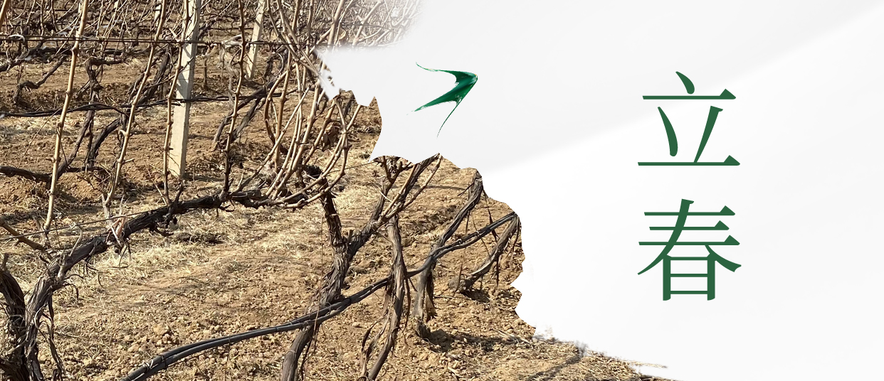 立春 ▎四序歲始，美好皆春